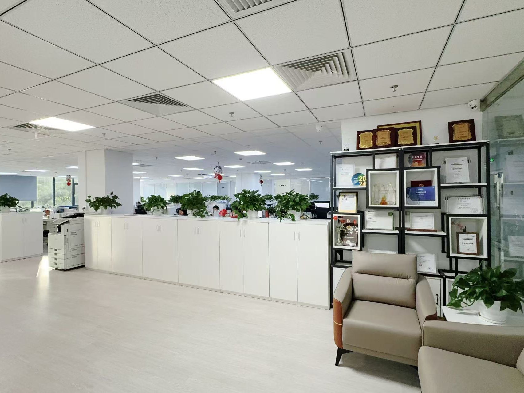 China Hong Kong Starsurge Group Co., Limited Perfil da companhia