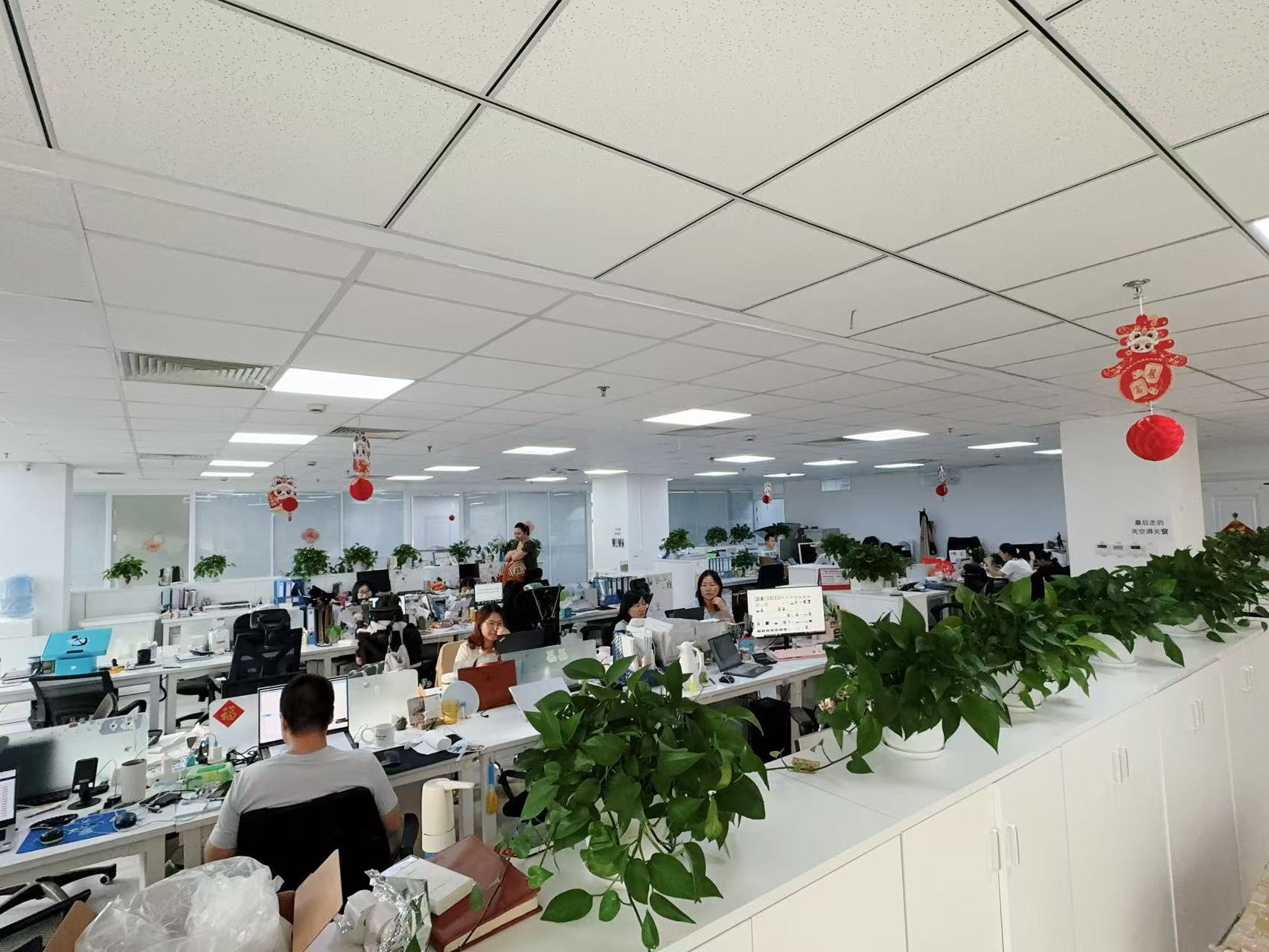 China Hong Kong Starsurge Group Co., Limited Perfil da companhia