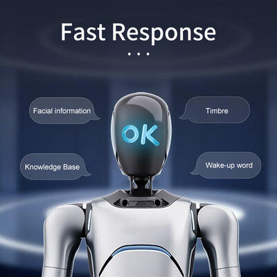 OmniHand 2025 Compacto Alto DOF Interativo Destre MãoFator de forma pequeno, compatibilidade perfeita