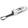 Fibra óptica 4 X SFP10g para Qsfp Reverse Adapter Cvr-4SFP10g-Qsfp 10g para Qsfp Reverse Adapter Module
